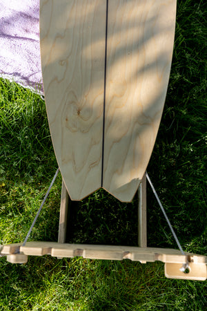 Hang Ten Trainer - Surf Balance Board