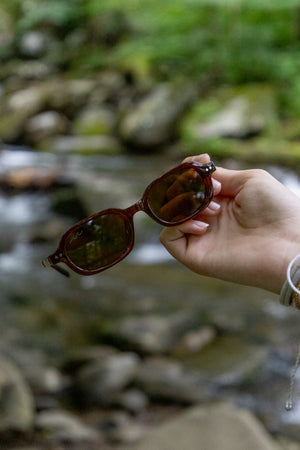 Wavey Jelly Shades