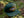 Third Eye Kap