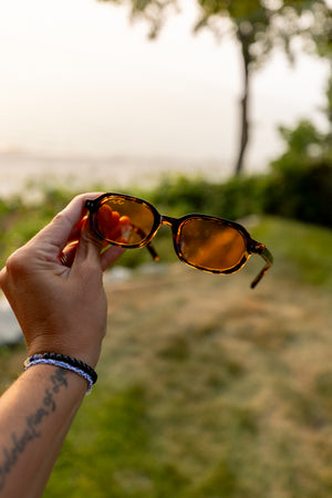 Wavey Jelly Shades
